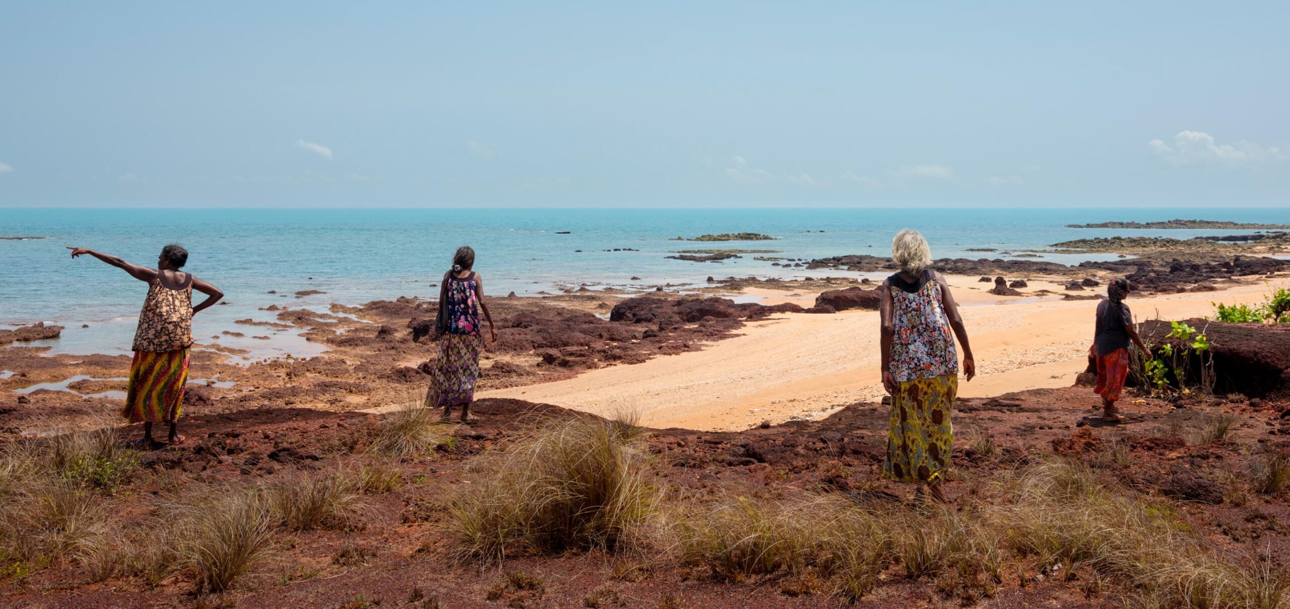 Image banner Nicholas Pascoe